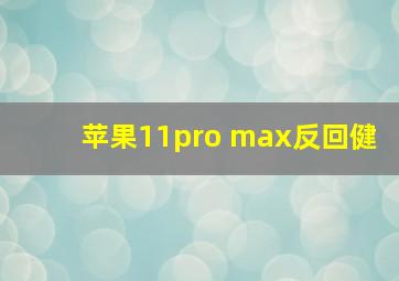 苹果11pro max反回健